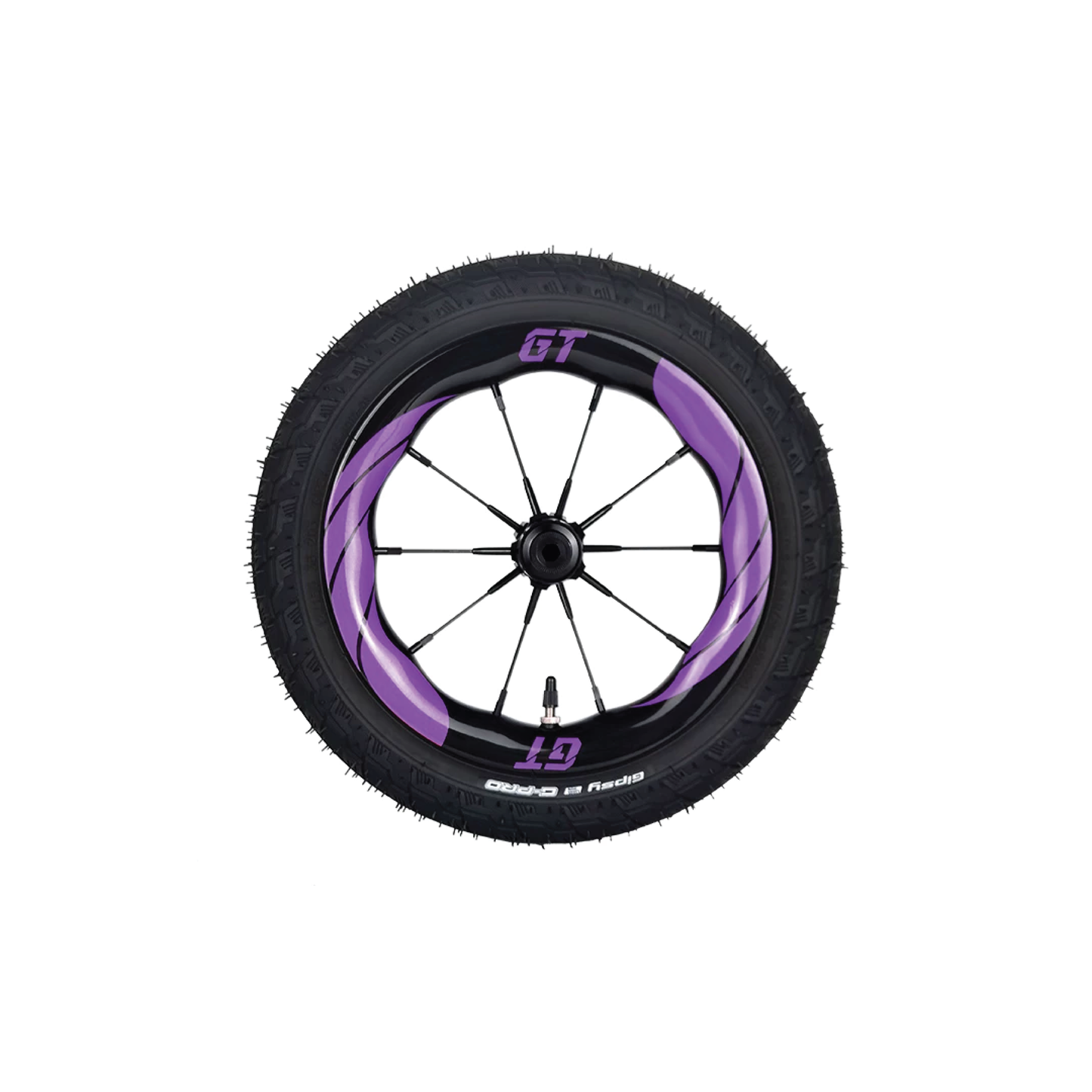 Wheelset Team Carbon GT