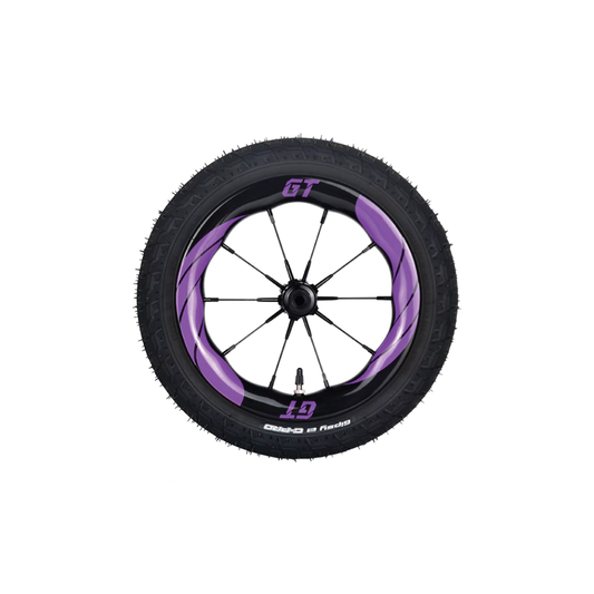 Wheelset Team Carbon GT