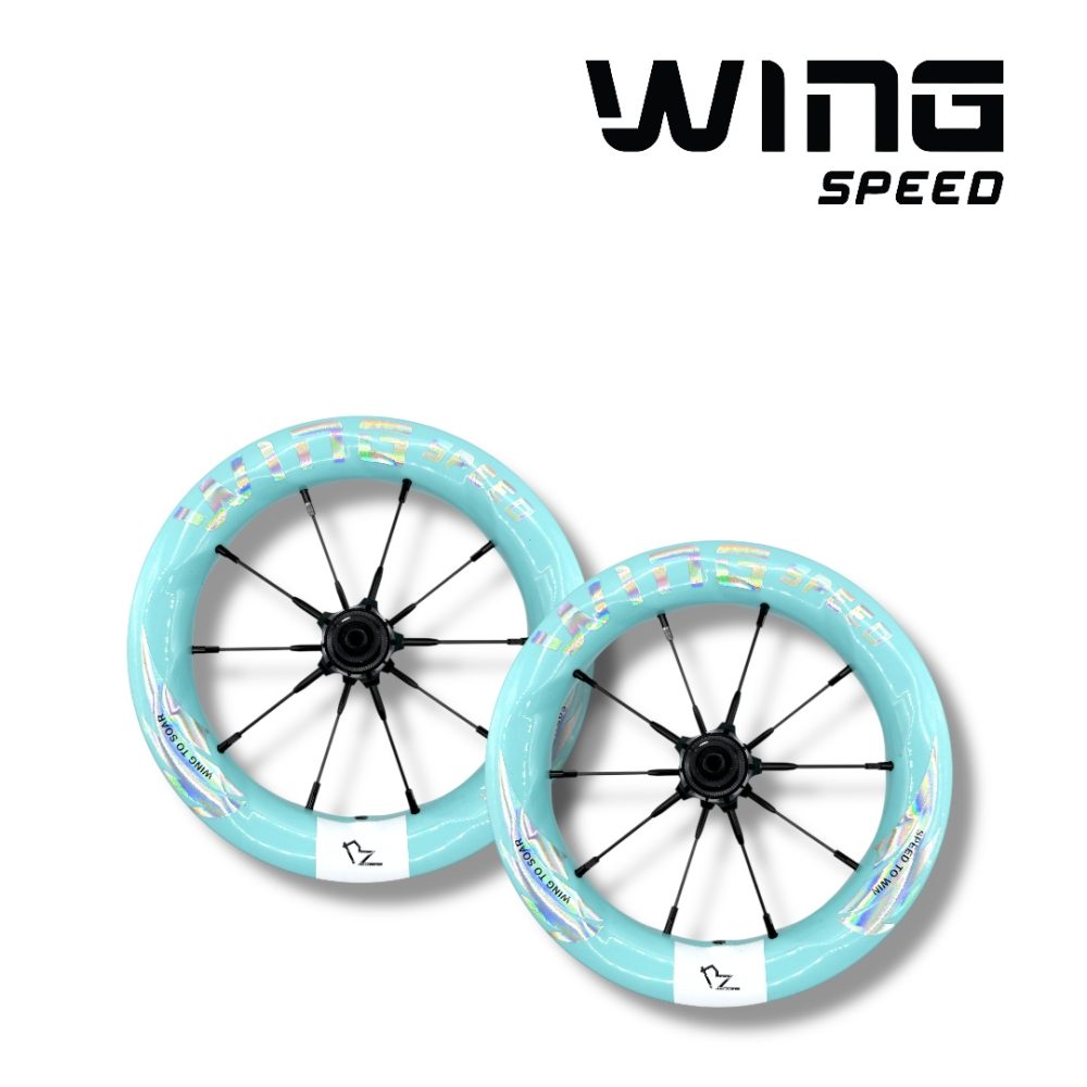 Wheelset  BZ Carbon Wing Speed