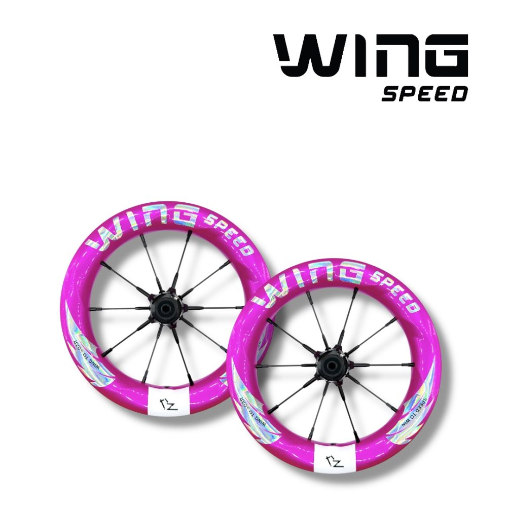 Wheelset  BZ Carbon Wing Speed